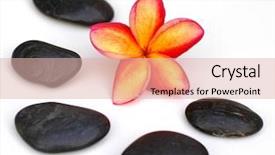  Presentation with plumeria - Audience pleasing slide deck consisting of plumeria and black stones backdrop and a lemonade colored foreground