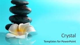  Presentation with plumeria - Cool new theme with plumeria and pebbles on water backdrop and a arctic colored foreground