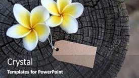  Presentation with plumeria - PPT layouts enhanced with plumeria-flower-and-blank-label background and a dark gray colored foreground