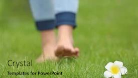  Presentation with plumeria - PPT theme with plumeria flower and female legs on green grass background and a gold colored foreground