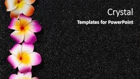  Presentation with plumeria - Presentation theme featuring plumeria-flowers-in-black-sand background and a black colored foreground