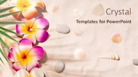  Presentation with plumeria - Theme featuring plumeria-flowers-on-white-sand background and a lemonade colored foreground