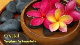  Presentation with plumeria - Beautiful presentation featuring  backdrop and a  colored foreground