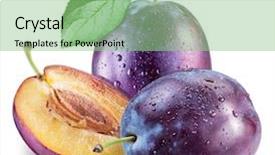  Presentation with water leaf - Slide deck consisting of plums with plum leaf background and a seafoam green colored foreground