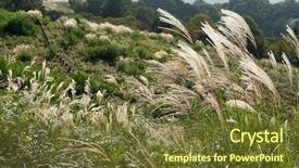  Presentation with lent season - Presentation theme enhanced with poaceae - mountain in autumn season background and a  colored foreground