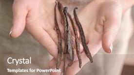  Presentation with vanilla - Colorful presentation theme enhanced with pod - woman holding vanilla sticks closeup backdrop and a coral colored foreground