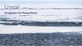  Presentation with whales - PPT layouts with pod-of-beluga-whales-delphinapterus background and a sky blue colored foreground