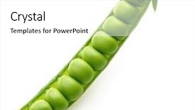 Presentation with bunch of green peas - Audience pleasing PPT theme consisting of pod of green peas isolated backdrop and a white colored foreground