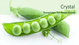  Presentation with food white - PPT theme having pods of green peas background and a mint green colored foreground