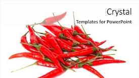  Presentation with barricade tape red and white - PPT theme enhanced with pods of hot red pepper on a white background background and a white colored foreground