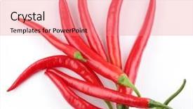 Presentation with red chilli - Colorful presentation theme enhanced with pods spicy red chilli peppers on white background backdrop and a coral colored foreground