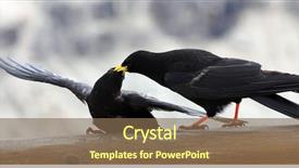  Presentation with poe - PPT theme featuring poe - two blackbirds in dolomiti background and a violet colored foreground