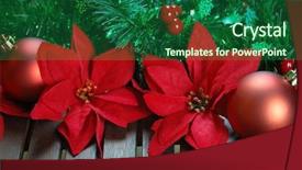  Presentation with decoration - Slide deck with poinsettas - christmas decoration with poinsettia seasonal background and a ocean colored foreground