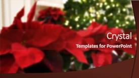  Presentation with sparkle christmas wallpaper blur christmas - Presentation enhanced with poinsettas and christmas tree - blur background and a  colored foreground