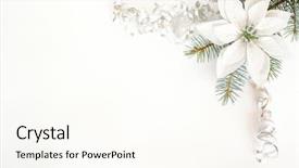  Presentation with border - Presentation consisting of poinsettia - christmas border background and a  colored foreground