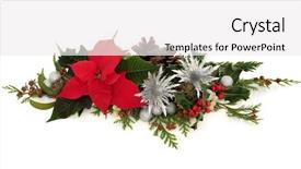  Presentation with silver christmas - Colorful presentation design enhanced with poinsettia and silver thistle flower backdrop and a white colored foreground