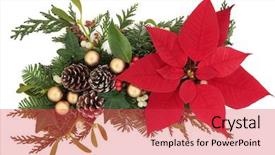  Presentation with white gold - Colorful slide set enhanced with poinsettia flower arrangement with gold backdrop and a red colored foreground