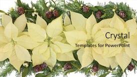  Presentation with cedar - Slide set consisting of poinsettia flower arrangement with mistletoe background and a yellow colored foreground