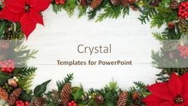  Presentation with rustic wood border - Presentation theme having poinsettia flower background border with holly mistletoe and winter flora on rustic white wood background with copy space traditional thanksgiving or christmas theme background and a sky blue colored foreground