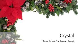  Presentation with border flower - Beautiful PPT theme featuring poinsettia flower background border backdrop and a white colored foreground