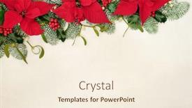 Presentation with border flower - Slides enhanced with poinsettia-flower-border-for-thanksgiving background and a cream colored foreground