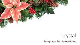  Presentation with flower border - PPT theme enhanced with white and yellow capsules of glucosamine omega-3 pills of calcium on plastic box glass with water at wooden table top view background and a coral colored foreground