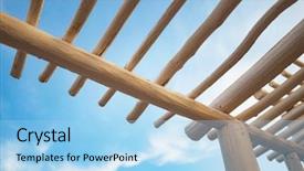  Presentation with point of view - Audience pleasing slide set consisting of point of view on canopy backdrop and a light blue colored foreground