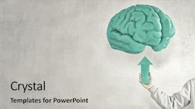  Presentation with brain development - Cool new theme with pointing at human brain backdrop and a light gray colored foreground