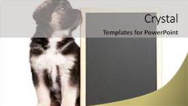  Presentation with puppy - Cool new PPT layouts with pointing dog - cute puppy of 1 5 backdrop and a light gray colored foreground