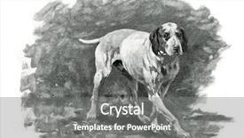  Presentation with dog house - PPT theme with pointing dog picture by kivshenko background and a  colored foreground