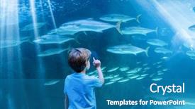  Presentation with fish aquarium - Audience pleasing presentation design consisting of environment points - young man pointing fish backdrop and a teal colored foreground