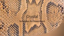 143 Best Python-Themed Templates for PowerPoint & Google Slides