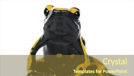  Presentation with poison - PPT theme with poison dart frog and bumblebee background and a tawny brown colored foreground