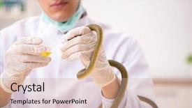  Presentation with drug poison - Presentation design with poison from snake for drug background and a coral colored foreground