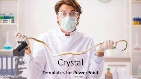  Presentation with drug poison - Slide deck consisting of poison from snake for drug background and a lemonade colored foreground