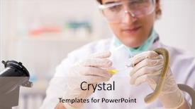  Presentation with drug discovery - PPT theme having poison from snake for drug background and a lemonade colored foreground