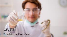  Presentation with drug poison - Cool new PPT theme with poison from snake for drug backdrop and a light gray colored foreground