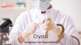  Presentation with drug poison - Amazing PPT layouts having poison from snake for drug backdrop and a soft green colored foreground