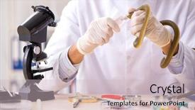  Presentation with drug poison - Audience pleasing PPT theme consisting of poison from snake for drug backdrop and a soft green colored foreground