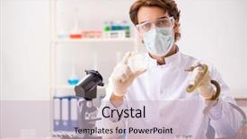  Presentation with drug poison - Amazing PPT theme having poison from snake for drug backdrop and a lemonade colored foreground