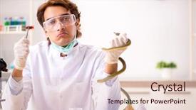  Presentation with drug poison - Audience pleasing slide set consisting of poison from snake for drug backdrop and a lemonade colored foreground