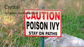  Presentation with poison - Presentation having poison ivy warning sign background and a coral colored foreground