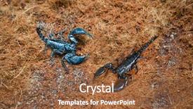  Presentation with land - Beautiful theme featuring poisonous scorpions in the land backdrop and a tawny brown colored foreground