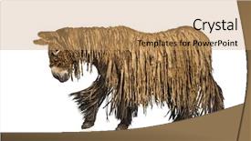  Presentation with rasta - PPT theme having poitou donkey with a rasta background and a coral colored foreground