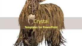  Presentation with rasta - PPT theme with poitou-donkey-with-a-rasta background and a tawny brown colored foreground