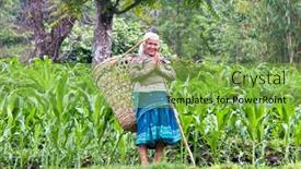  Presentation with nepal - Beautiful slide deck featuring pokhara-may-23-nepalese-women backdrop and a  colored foreground