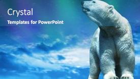  Presentation with polar bear - Presentation design featuring polar-bear-stand background and a teal colored foreground