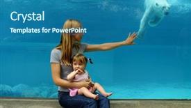  Presentation with zoo - Theme consisting of polar bears at the zoo background and a ocean colored foreground