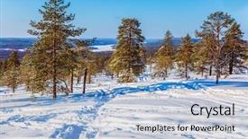  Presentation with circle - Colorful slide deck enhanced with polar circle sparse coniferous forest backdrop and a  colored foreground