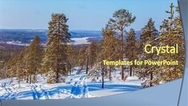  Presentation with train and travel - Beautiful PPT layouts featuring polar circle sparse coniferous forest backdrop and a tawny brown colored foreground